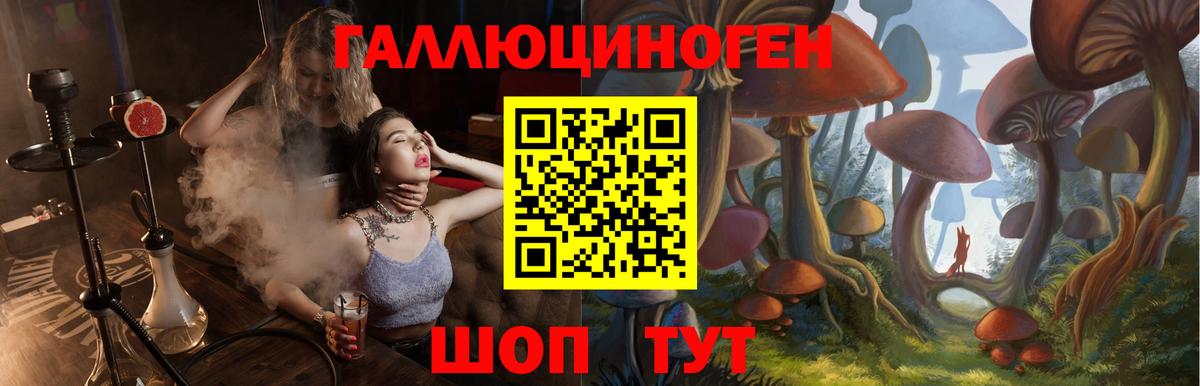 Галлюциногенные грибы мухоморы Лыткарино